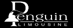 Penquin Limousine - Click here to visit our website!